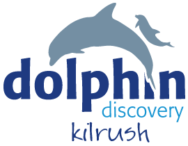 Irish webdesign services for Dolphin Discovery Kilrush
